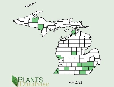 200511 common Buckthorn (Rhamnus cathartica) - USDA MI Distribution.jpg